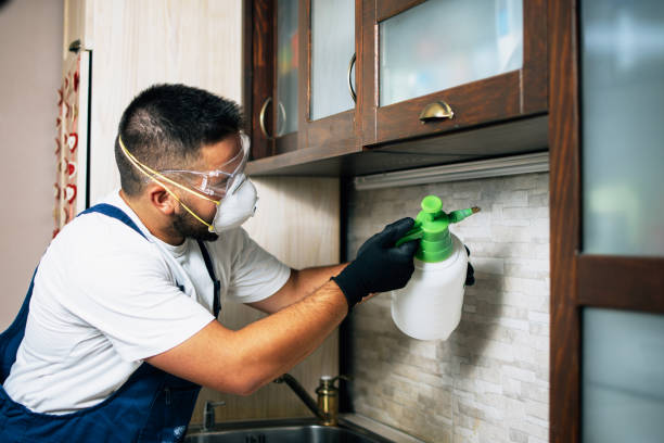Best Affordable Pest Control Services  in University At Buffalo, NY
