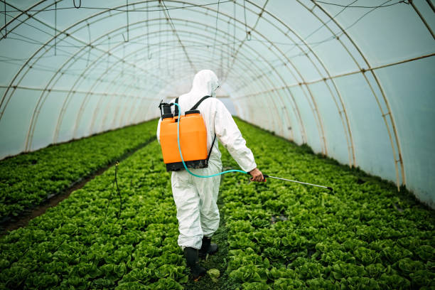 Pest Control Cost in University At Buffalo, NY