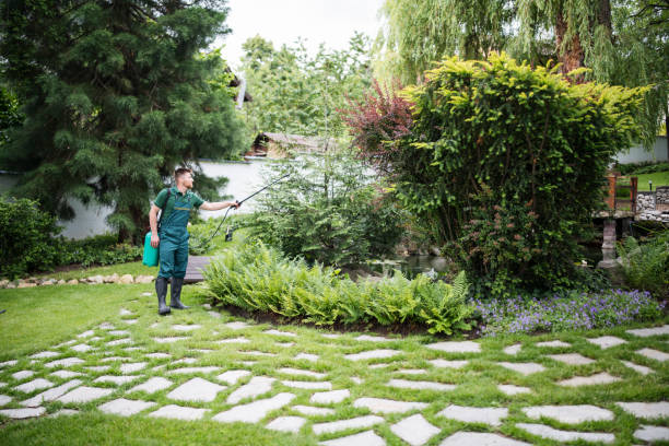 Best Affordable Pest Control Services  in University At Buffalo, NY
