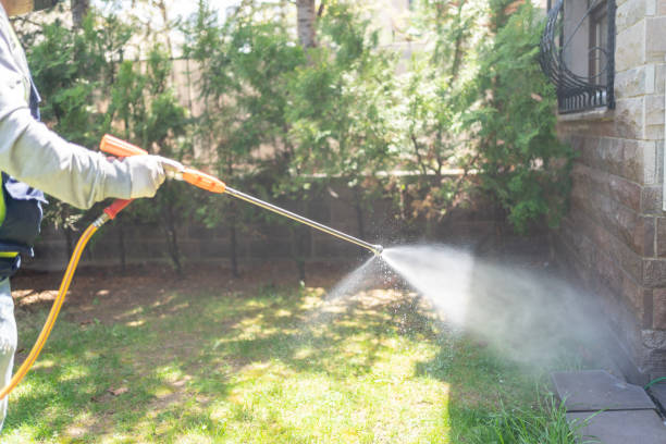 Insect Control in University At Buffalo, NY