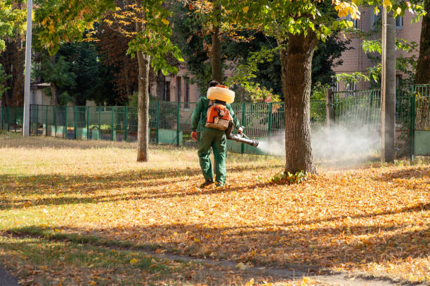 Best Affordable Pest Control Services  in University At Buffalo, NY