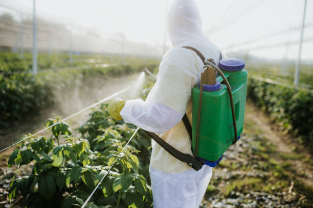  University At Buffalo, NY Pest Control Pros